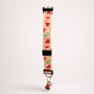 Summer Cat Collars