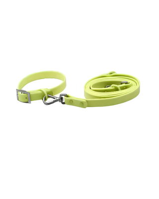 Waterproof Collar & Leash Set