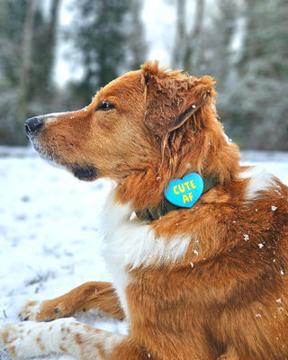 Cute AF Blue Jiby Dog Charm