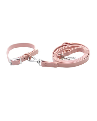 Waterproof Collar & Leash Set