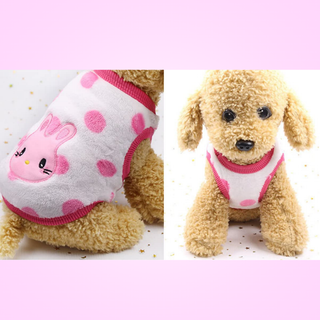 Pinky Bunny Sweater