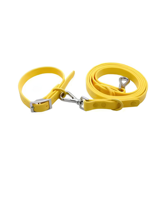 Waterproof Collar & Leash Set