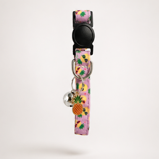 Summer Cat Collars