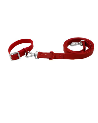 Waterproof Collar & Leash Set