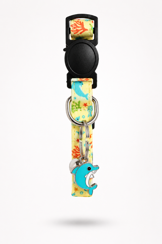 Summer Cat Collars