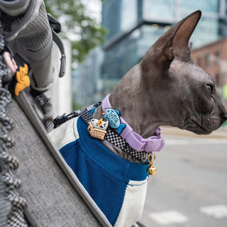 If I Fits I Sits Jiby Cat Charm