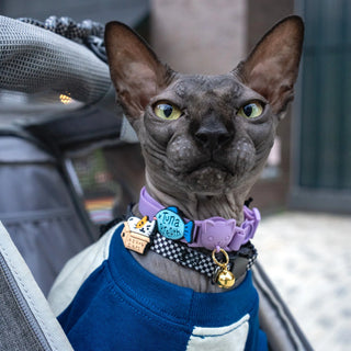 Tuna Breath Jiby Cat Charm
