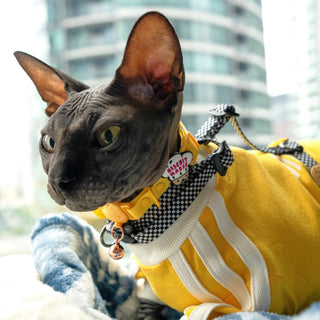 Biscuit Maker Jiby Cat Charm