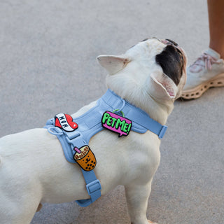 Pet Me Jiby Dog Charm