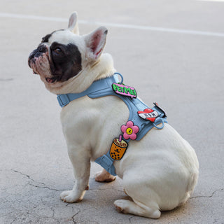Mom Tattoo Jiby Dog Charm