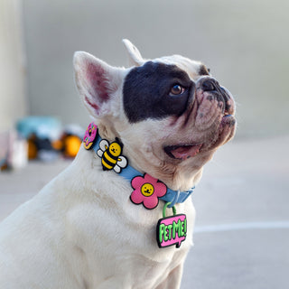Bumblebee Jiby Dog Charm