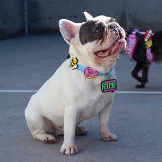 I Donut Care Pink Jiby Dog Charm