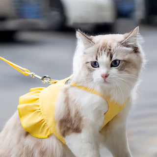 Sunshine Waterproof Pet Dress Harness with Leash