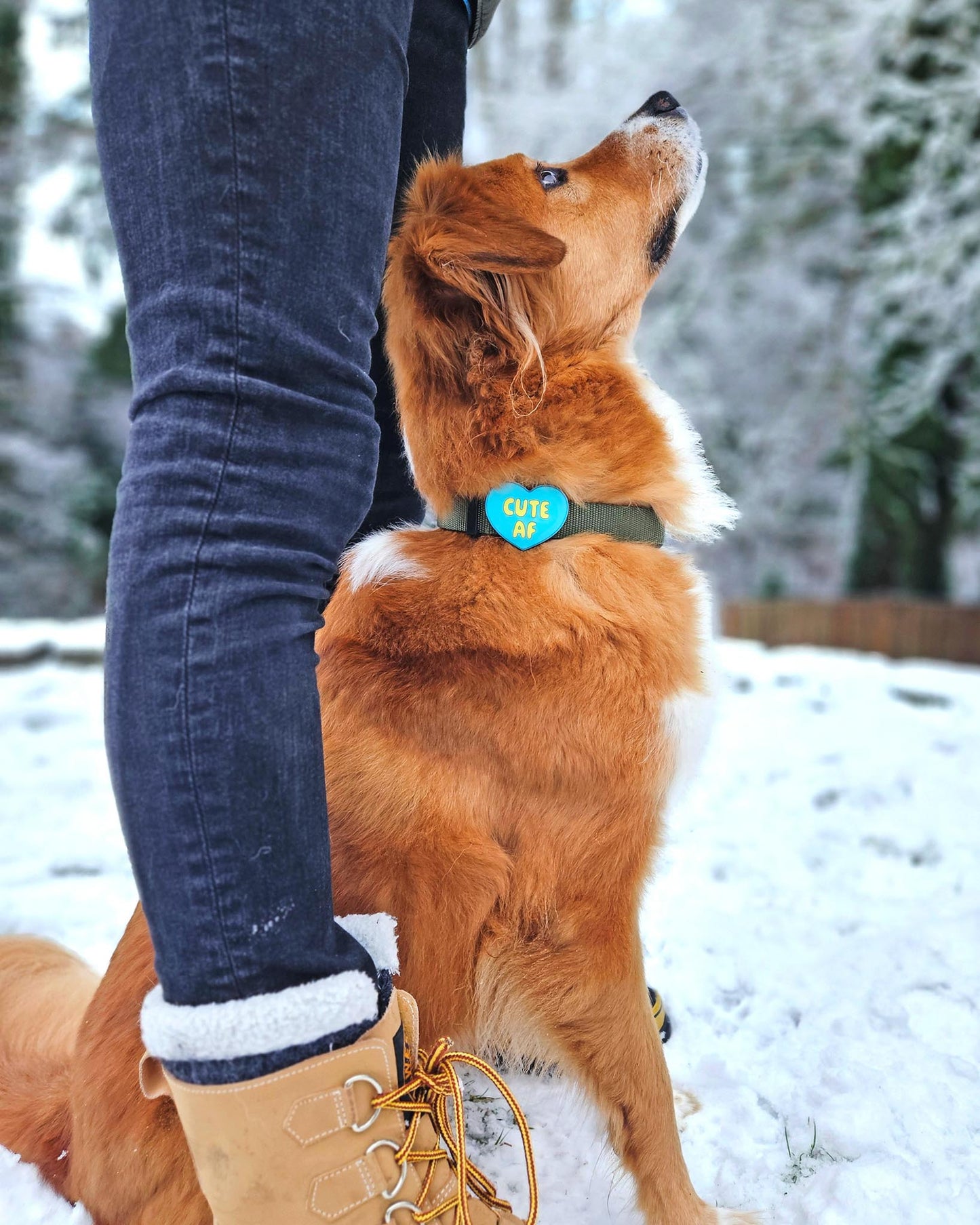 Cute AF Blue Jiby Dog Charm
