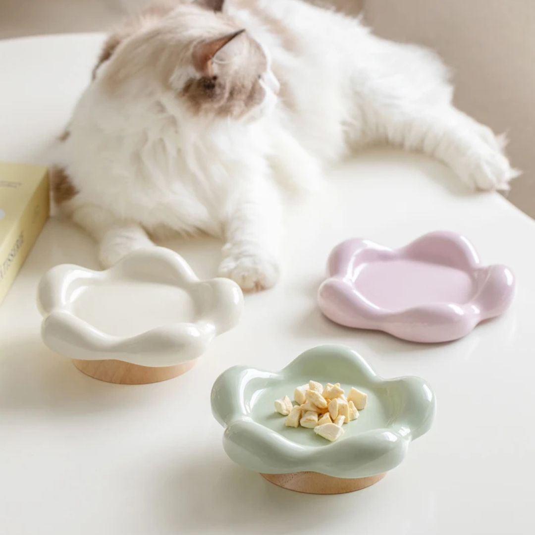 Bloom Bowl