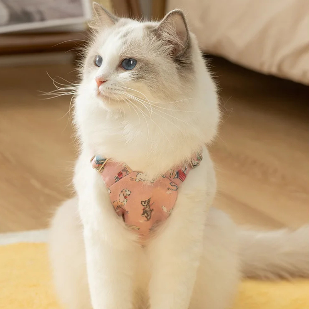 Whiskers Dress