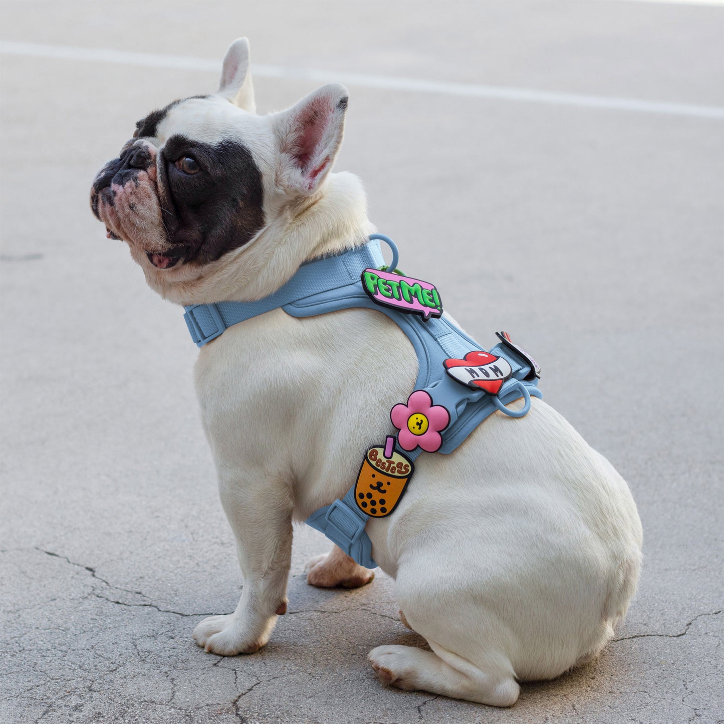 Mom Tattoo Jiby Dog Charm