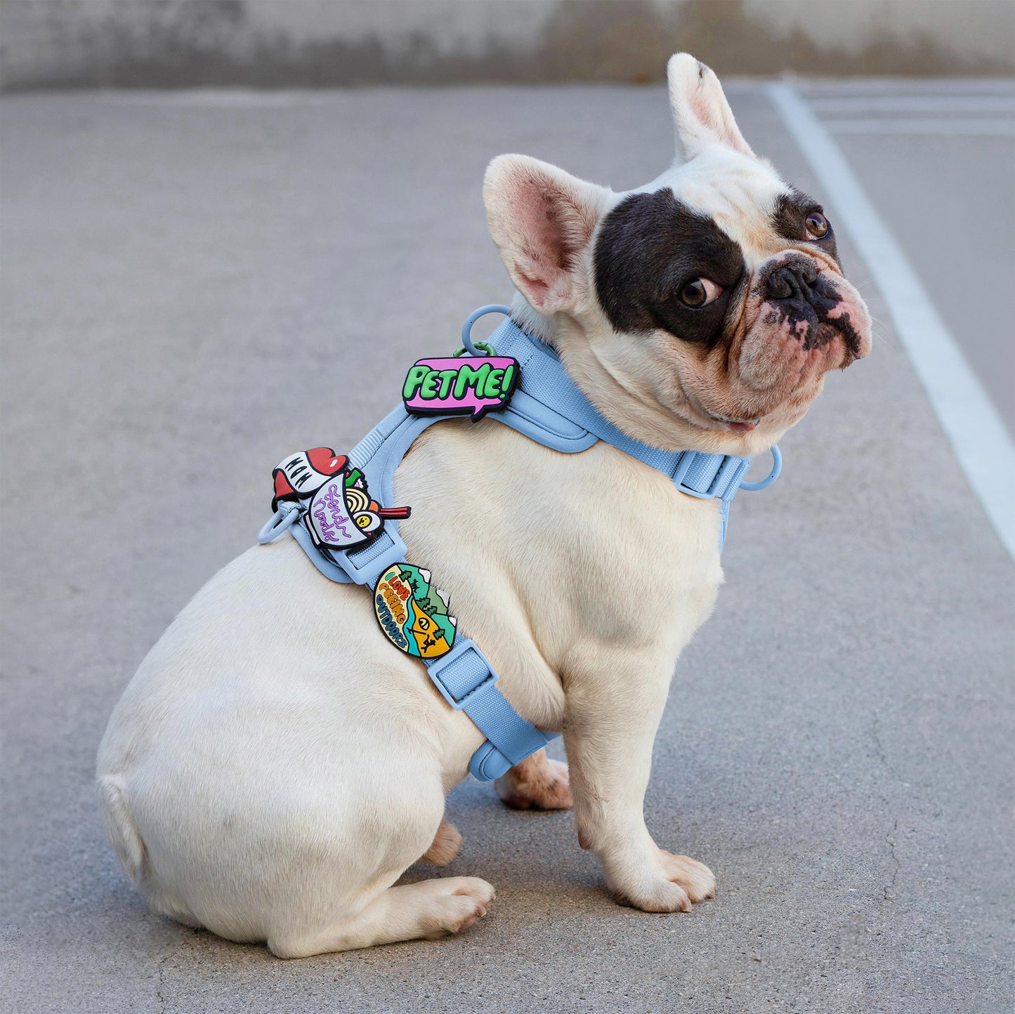 Peeing Outdoors Jiby Dog Charm