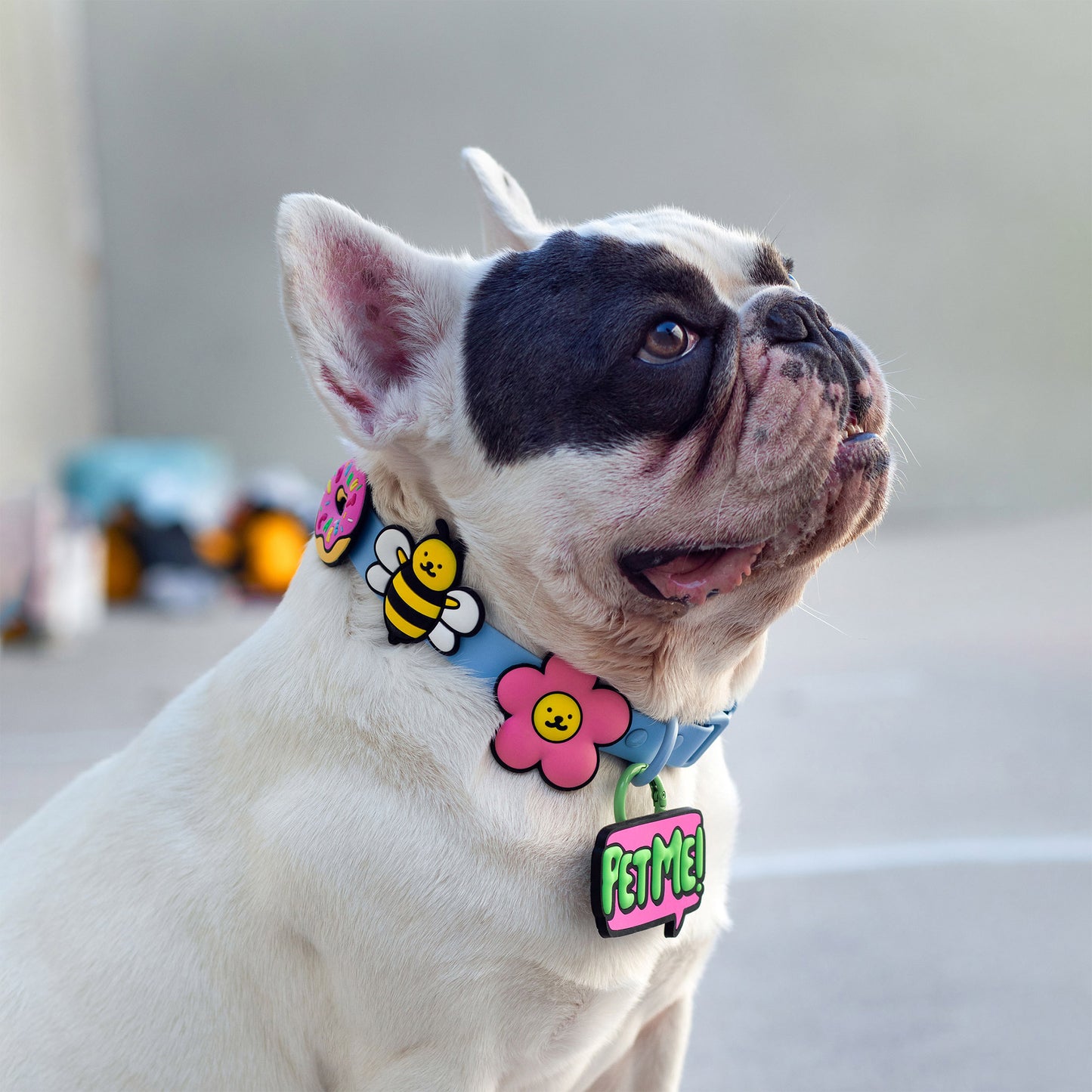 Bumblebee Jiby Dog Charm
