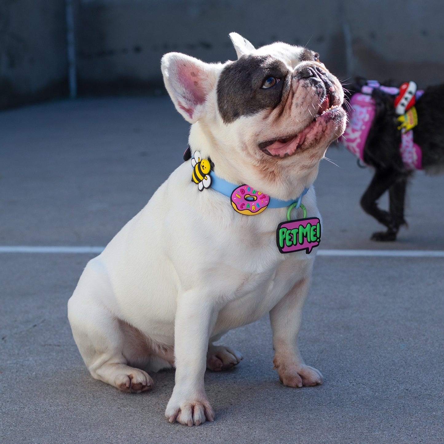 I Donut Care Pink Jiby Dog Charm