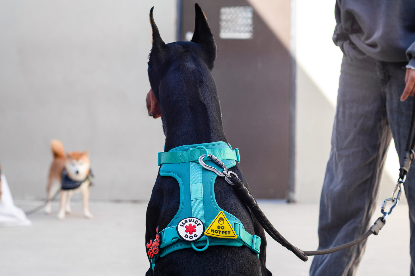 Service Dog Jiby Dog Charm