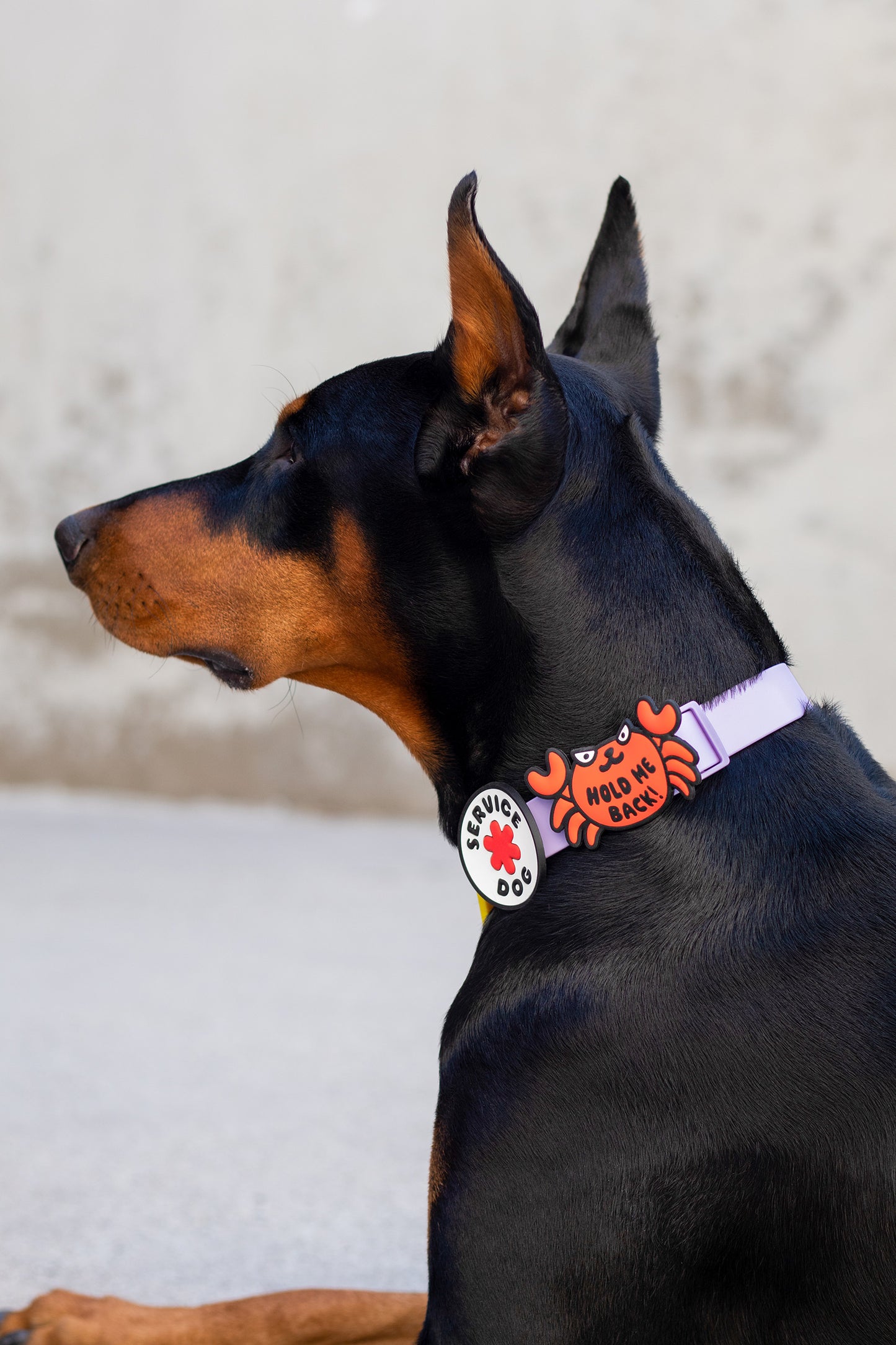 Service Dog Jiby Dog Charm