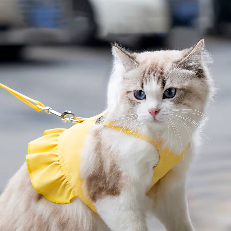 Sunshine Waterproof Pet Dress Harness with Leash